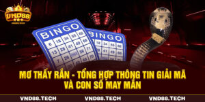 Mơ Thấy Rắn - Tổng Hợp Thông Tin Giải Mã Và Con Số May Mắn