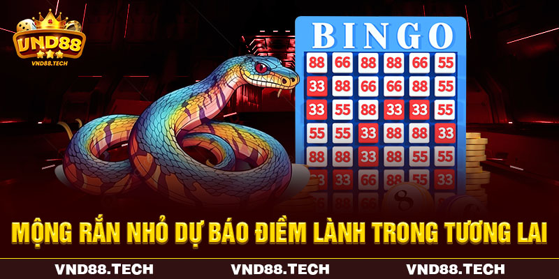 Mộng rắn nhỏ dự báo điềm lành trong tương lai