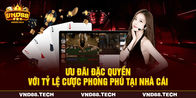 Ưu đãi đặc quyền với tỷ lệ cược phong phú tại nhà cái