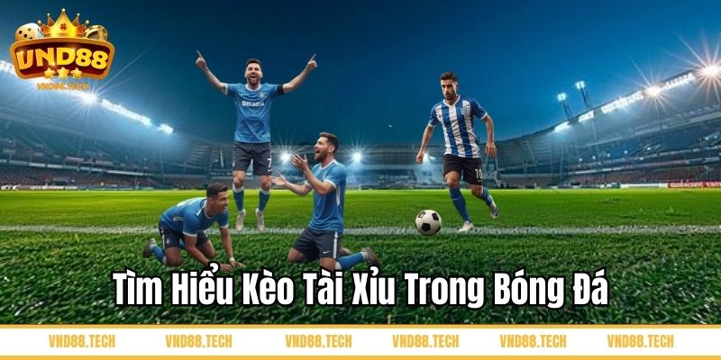 Tìm hiểu kèo tài xỉu trong bóng đá